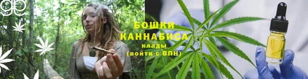 стаф Пестово
