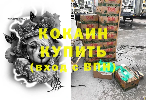 крисы Покачи
