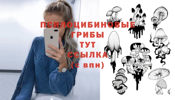 COCAINE Переславль-Залесский