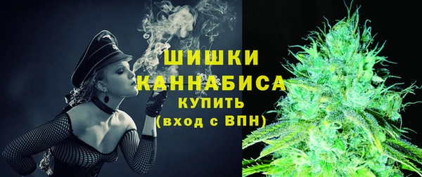 тгк Пересвет