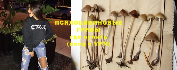 стаф Пестово