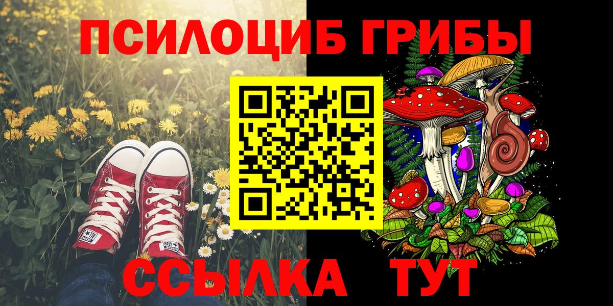 Долгопрудный  Псилоцибиновые грибы Psilocybine cubensis  Вход с VPN 