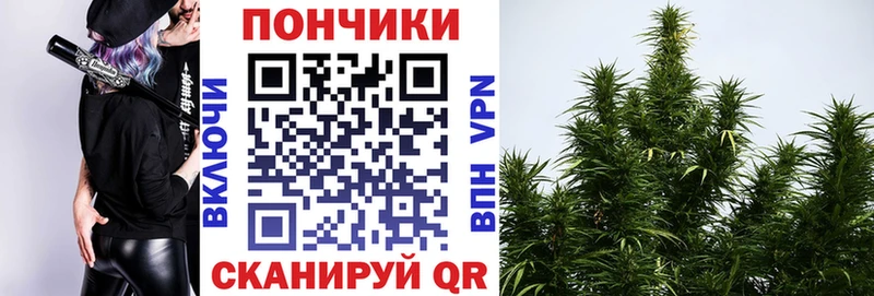 Конопля VHQ  Долгопрудный 